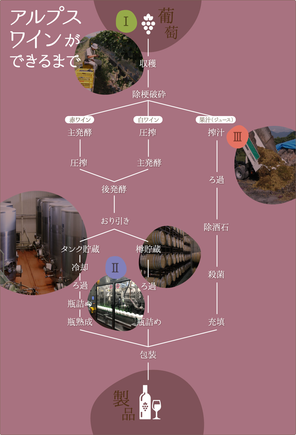 アルプスワインができるまで