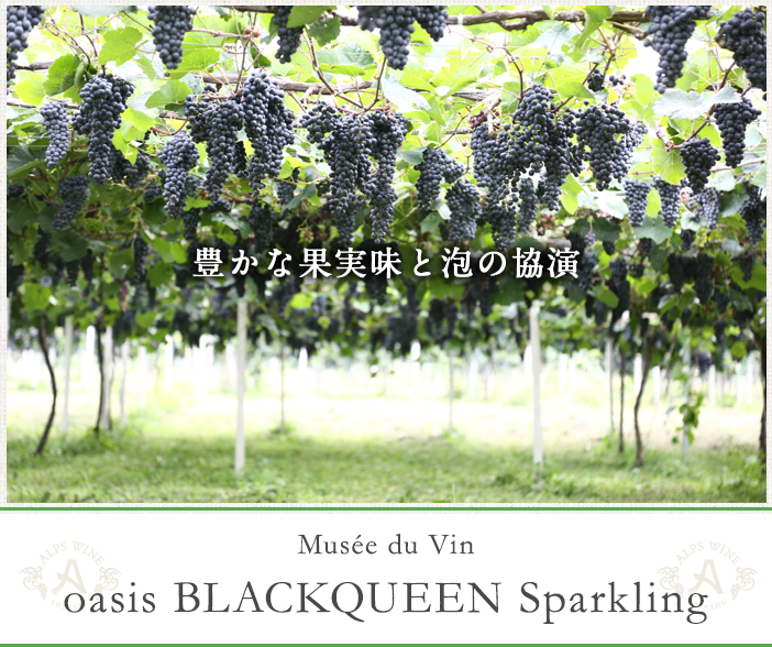 oasis BLACKQUEEN